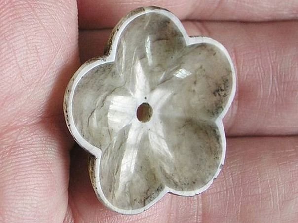 Flower 366 - (3583)